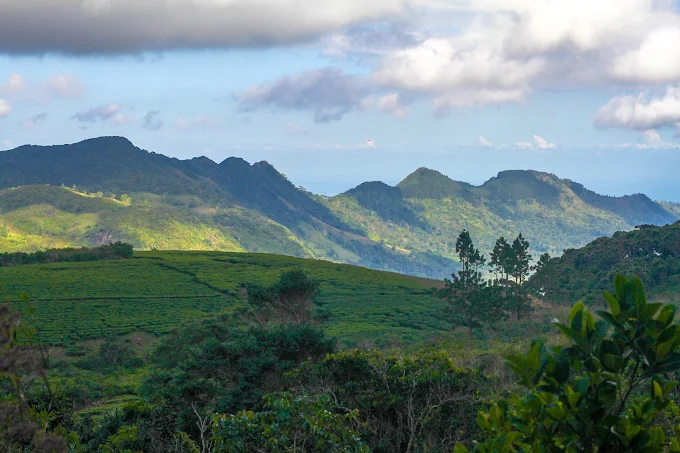 Sinharaja forest Full Day hiking Tours